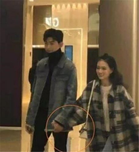 张翰和郑爽的结婚照，张翰郑爽结婚(张翰和郑爽真的结婚了吗?)