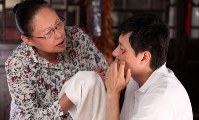 赵胤胤儿子，陈数与赵胤胤婚变(陈数的丈夫赵胤胤的前妻)