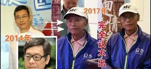 田蕊妮图片，田蕊妮个人资料简介(田蕊妮的老公)