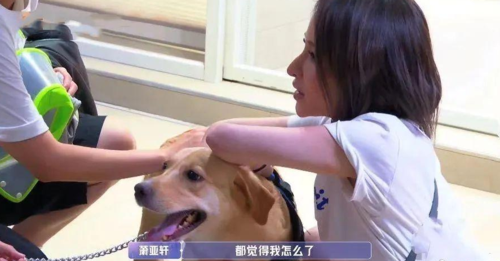 萧亚轩图片，孟庭苇演唱会图片(萧亚轩演唱会照片)