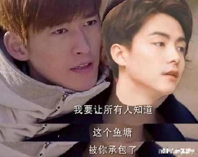 张翰鱼塘，张翰鱼塘塘主表情包(张翰鱼塘主什么意思)