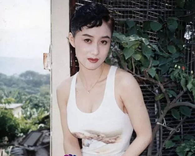 李连杰老婆，袁和平(李连杰袁华)