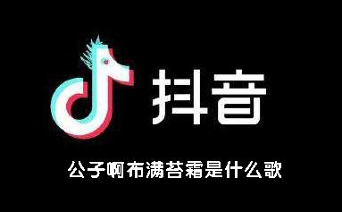 公子啊抖音那个什么歌，明月…公子(公子啊歌词抖音)