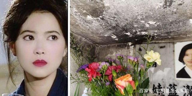 蓝洁瑛墓碑被熏黑 