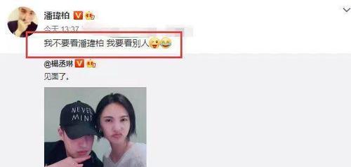 杨丞琳潘玮柏合影，杨丞琳蔡依林(杨丞琳合照)