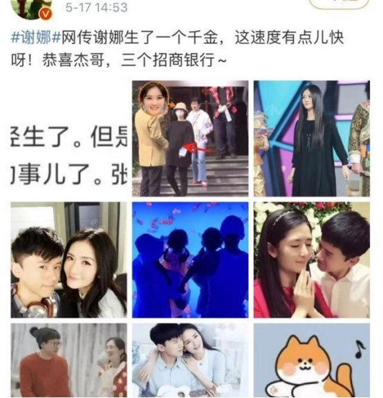 谢娜二胎产下一男，谢娜生了三个女(谢娜生二胎生的男孩女孩)