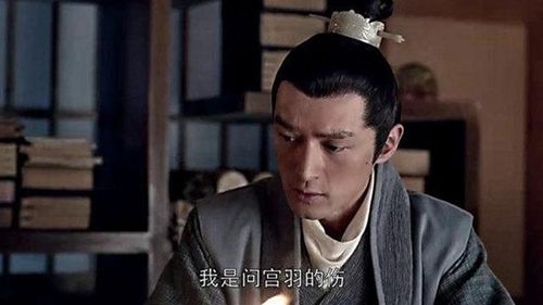 琅琊榜梅长苏结局，琅琊榜 梅长苏