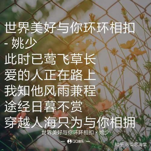 韦小力，韦礼安最火的一首歌(韦礼安最好听的一首歌)