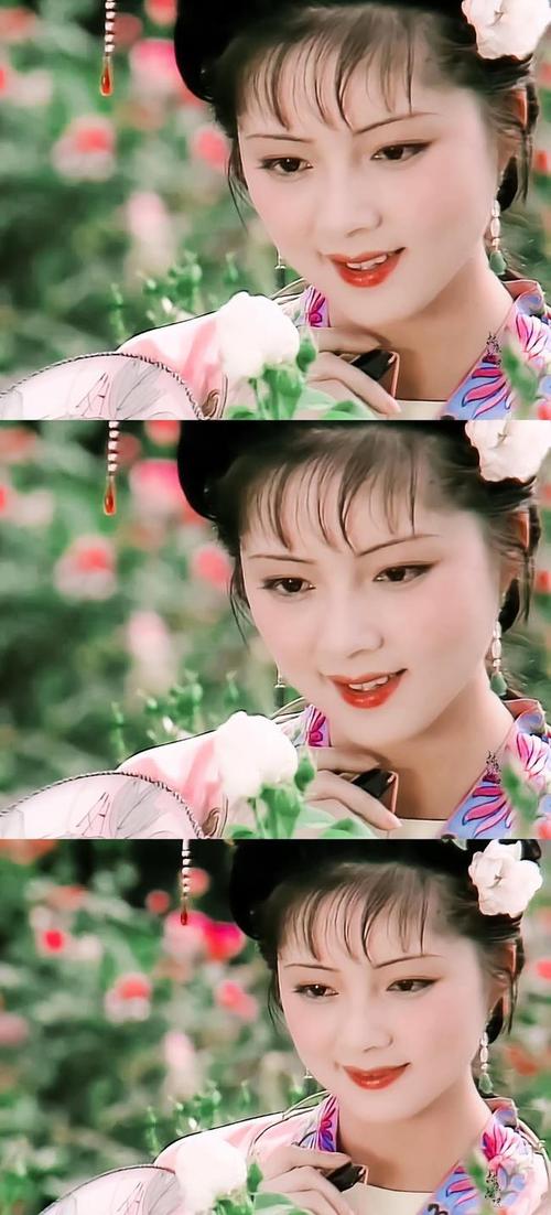薛宝钗张莉，06年关于红楼梦薛宝(2010版红楼梦薛宝钗)