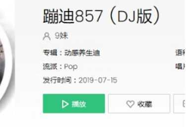 857857蹦迪歌曲叫什么，重低(蹦迪785785是什么歌)