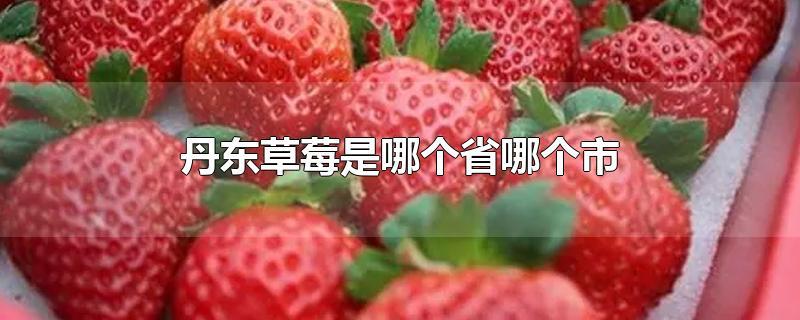 男生什么情况想种草莓，一亲就伸舌(吸草莓要伸舌头吗)