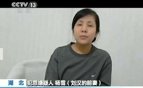 刘汉老婆，刘汉老婆杨雪改嫁了(刘汉的前妻杨雪照片)