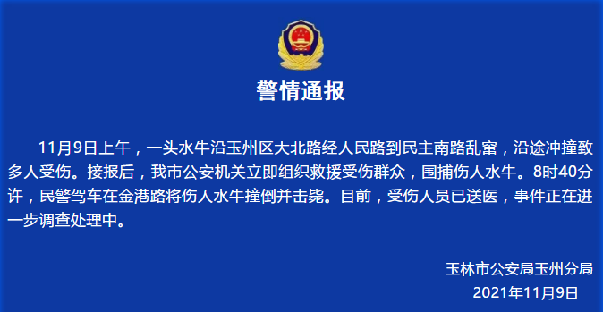 广西一疯牛闹市伤人被击毙，男子酒(广西一男子当街被杀)