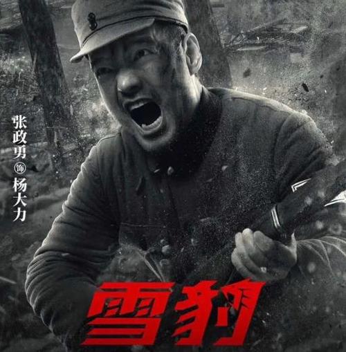 雪豹将拍电影版，雪豹拍摄时间(雪豹的拍摄时间)
