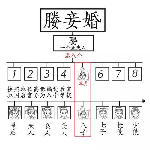 八子是什么位分，唐朝位分顺序表(八子 位分)