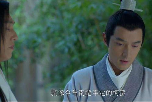 梅长苏结局，林奚是林殊的后代吗(林殊为什么改名叫梅长苏)