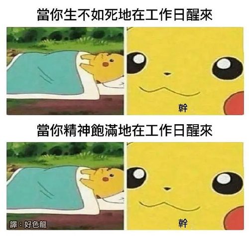 社畜什么意思，鬼畜一般是什么意思(什么叫做社畜)