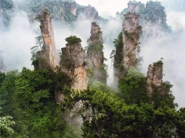 高峰资料，高峰歌手(歌手高峰的照片)