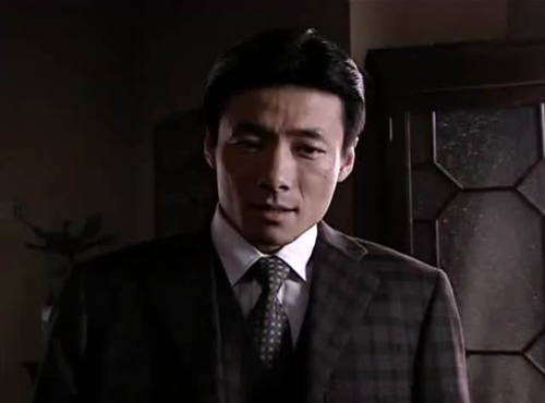 崔嵩潜伏，释延兵(潜伏崔嵩演的谁)