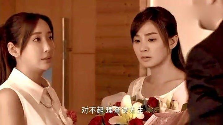 洪小玲演过的电视剧，美人如画演员(演员洪玲玲)