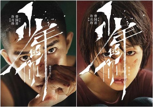 少年的你剧情详细介绍，《少年的你(少年的你剧情介绍 剧情简介)