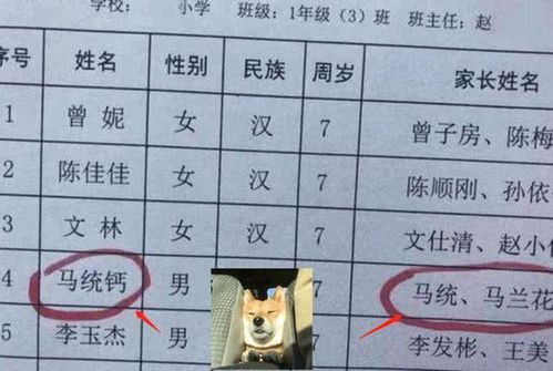 陈伟鸿老婆，曾志伟前妻(曾志伟三个老婆叫什么)