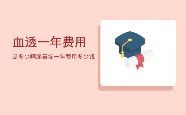血透一年费用是多少啊(血透一年费用能报销多少)
