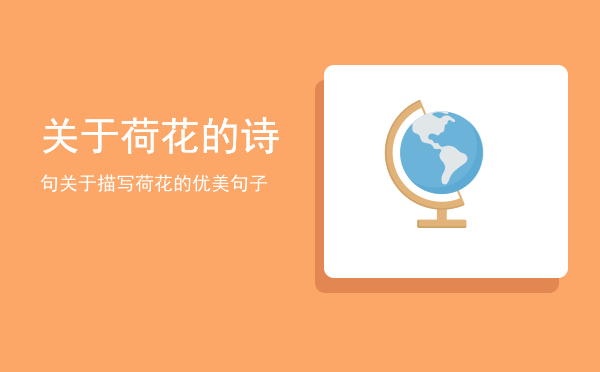 关于荷花的诗句(关于荷花的诗句花的诗句)