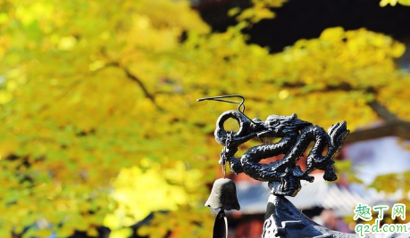 红螺寺适合情侣一起去吗(有对象能去红螺寺吗)