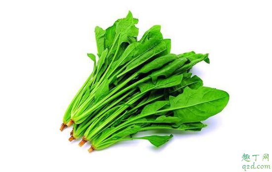 菠菜红根的好还是白根的好(红根菠菜的根好吃吗)