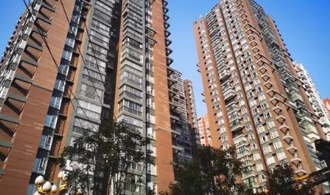 开发商为什么催着交维修基金(开发商为什么催着交维修基金说是备案)