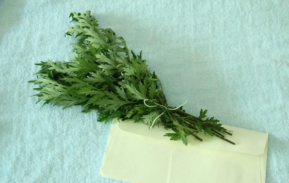 几月的艾草药用价值高(什么时候的艾草药最好)
