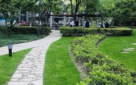 小区绿化带可以种花吗(可以在小区绿化上种花吗)