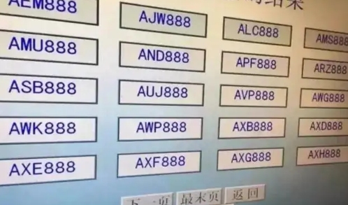 刚选车牌号能注销重选吗(新车牌可以注销重新选吗)