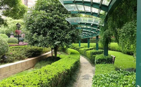 小区绿化带可以种花吗(可以在小区绿化上种花吗)