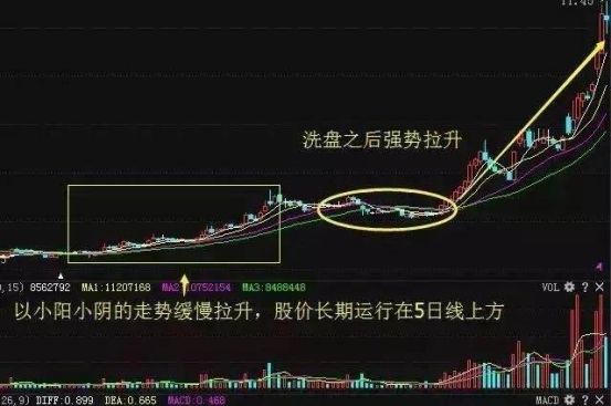 如何判断洗盘结束点？怎么正确跟随？钱多多•202