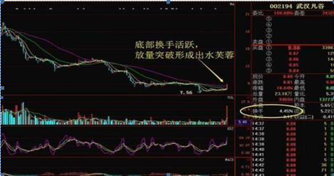 股票一手是多少股(美国股票一手是多少股)