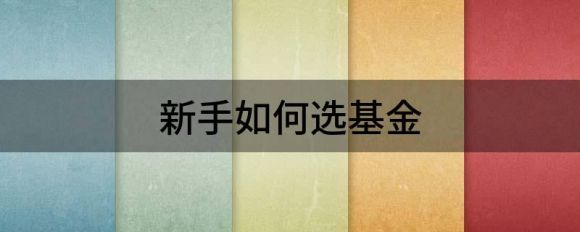 新手如何选基金 新手选基金的方法和技巧谷主•20