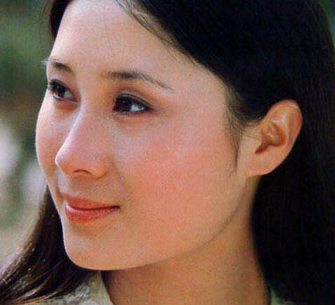 丁岚和李连杰恋爱过吗？丁岚在新加坡当妓女