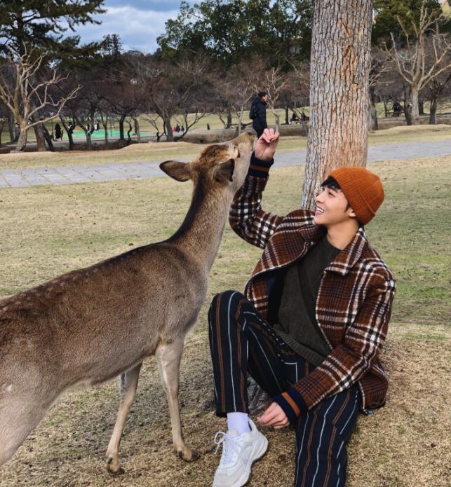 最惨的男团top伍嘉成是什么梗