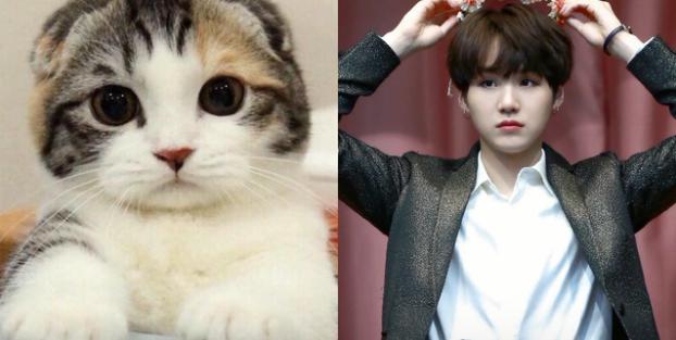 闵玧其为什么叫百万女团腿、猫猫、SUGA