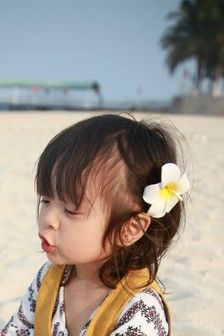 放开我北鼻apple，巧克力与香