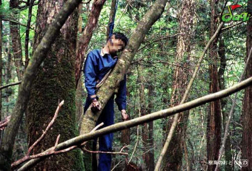 青木原森林事件，原树海是什么意思(青木原林海诡异事件)