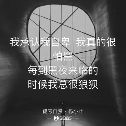 我承认我自卑我真的很怕黑是什么歌(我承认我自卑我真的很怕黑是什么歌词)