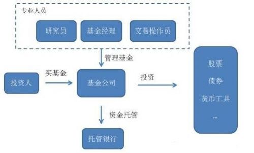 新手如何买基金合适(新手应该怎样买基金)