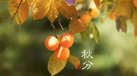 2022秋分天气还会热吗(2022年天气会更热吗)