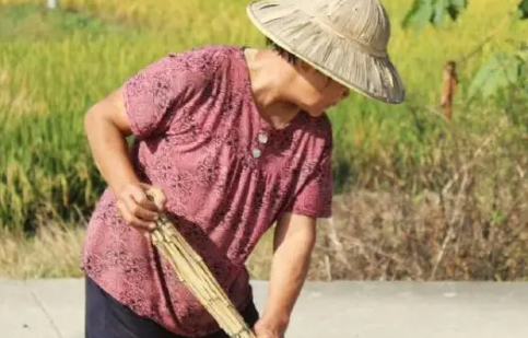 热射病发病的根本原因是什么(热射病的典型表现就是)