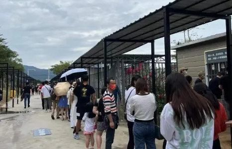 霍乱一般多少天会治愈(霍乱现在可以治愈了吗)