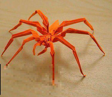 蜘蛛折纸剪纸制作方法，学习小动物折纸教程