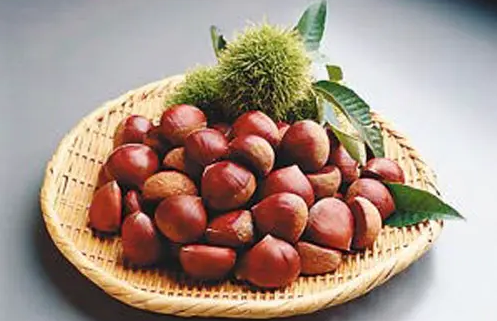生板栗能生吃吗(生的板栗能吃吗?)